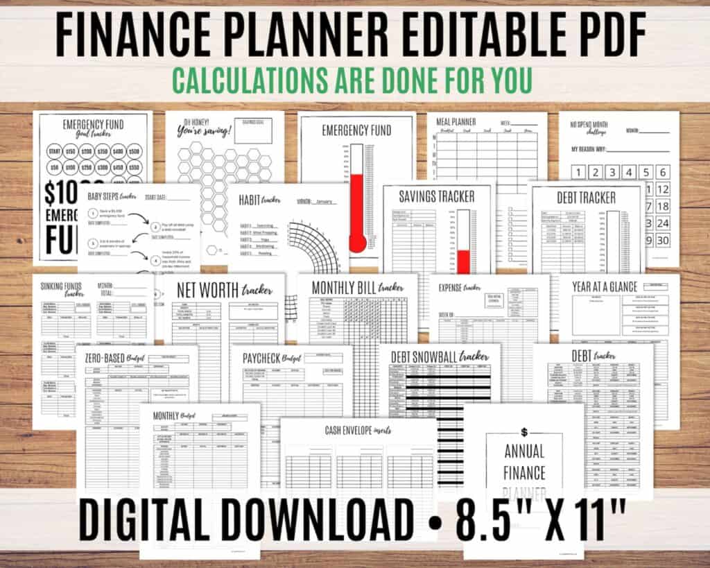 An editable finance planner